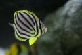 IMG 4833