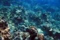 IMG 3731b