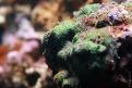 IMG 7797