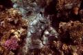 IMG 3550b