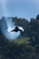 Sion AirShow 433