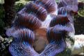 IMG 7787