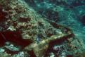 IMG 3017b