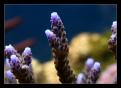 IMG 6281