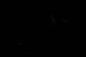IMG 0308