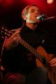Fauve 1