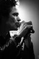 Eagle Eye Cherry 268