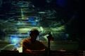 Shadow & Cut Chemist 881