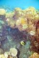 IMG 3080b