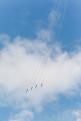Sion AirShow 856