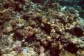 IMG 3459b
