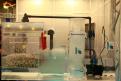 Interzoo 054