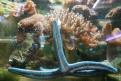 Aquari'Home 018