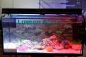 Interzoo 022