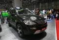 Ssang Yong (2)