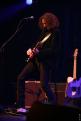 Eagle Eye Cherry 211