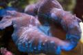 IMG 7796