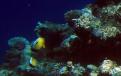 IMG 3403c