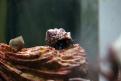 IMG 9186