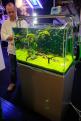 Interzoo 109