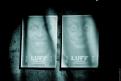 LUFF 2010 535
