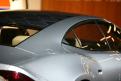 Fisker (10)