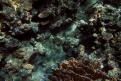 IMG 3478b