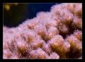 IMG 6301