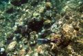 IMG 3051b