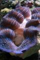 IMG 7788