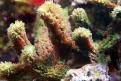 IMG 7775