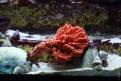 IMG 7758