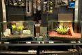 Interzoo 169