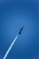 Sion AirShow 562