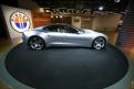 Fisker (4)