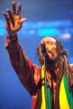 Israel Vibration