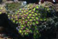 IMG 7783