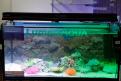 Interzoo 023