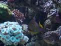 DSC01950