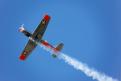 Sion AirShow 746