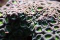 IMG 7771