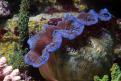 IMG 7791