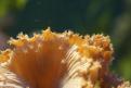 IMG 4957