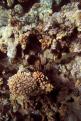 IMG 3543b