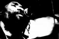 Israel Vibration