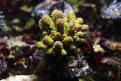 IMG 7753