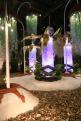 IMG 4765