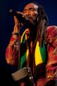 Israel Vibration