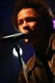 Eagle Eye Cherry 199