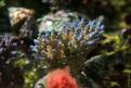 IMG 7743